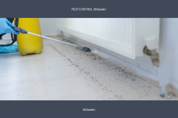 PEST CONTROL Stillwater